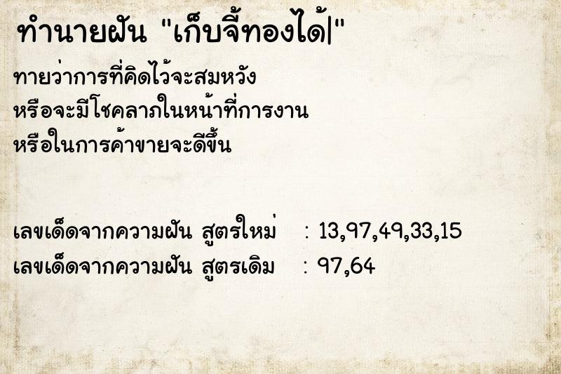 ทำนายฝันเก็บจี้ทองได้| ทำนายฝันทำนายฝันเก็บจี้ทองได้|